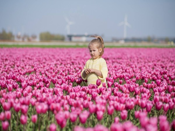 Dutch for children (custom)