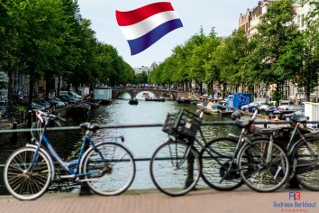 Vii in Olanda la studii?